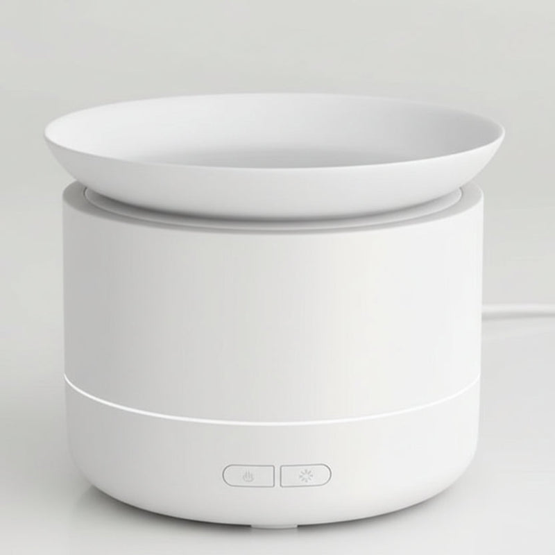 Diffuseur De Brume Décoratif Pour Maison