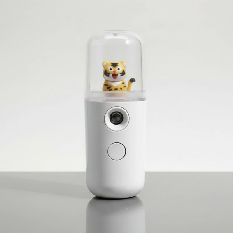 brumisateur visage usb rechargeable portable format poche