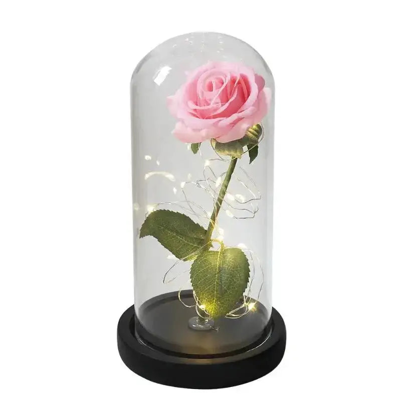 Lampe Rose Éternelle |  Base Noir Rose - - Veilleuse de rêve  Lampe Rose Éternelle |  Base Noir Rose Veilleuse de rêve Lampe Rose Éternelle -  - #tag1# - #tag2# - #tag3# - #tag4#