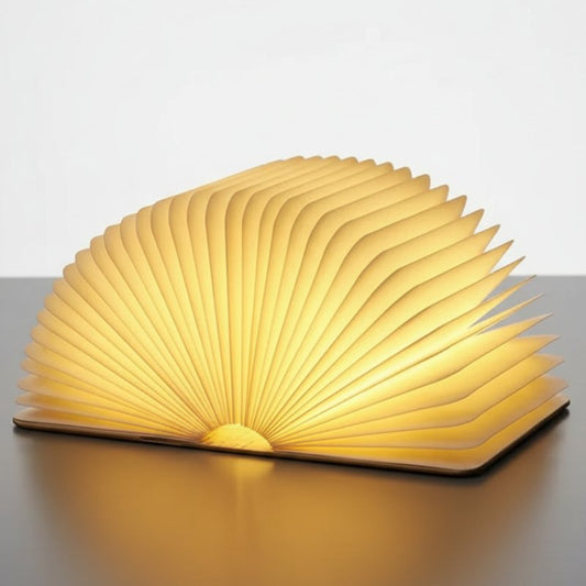 Lampe livre lumineuse pince flexible lecture nocturne