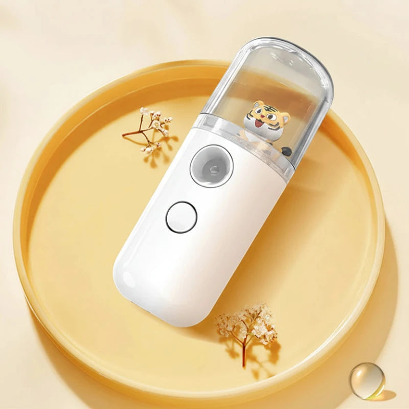 brumisateur visage portable usb nano brume hydratation peau
