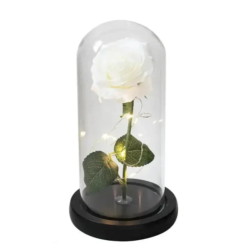 Lampe Rose Éternelle | Base Noir Rose Blanche - - Veilleuse de rêve  Lampe Rose Éternelle | Base Noir Rose Blanche Veilleuse de rêve Lampe Rose Éternelle -  - #tag1# - #tag2# - #tag3# - #tag4#