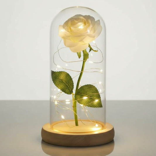 Rose Éternelle Blanche Sous Cloche Verre