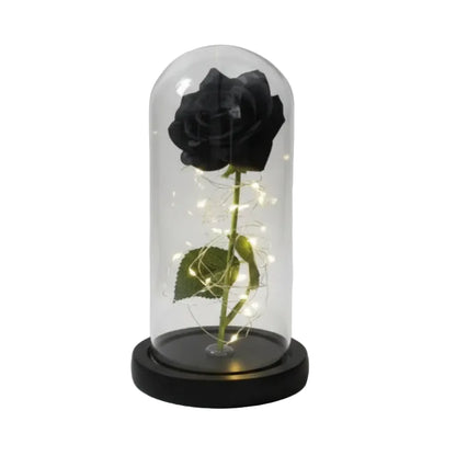 rose eternel noire fond blanc