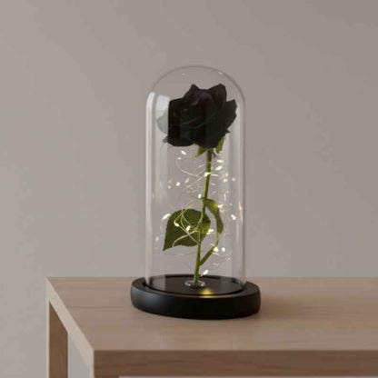 Rose Eternelle Noire Sous Cloche