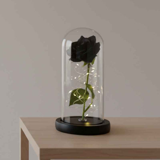 Rose Eternelle Noire Sous Cloche