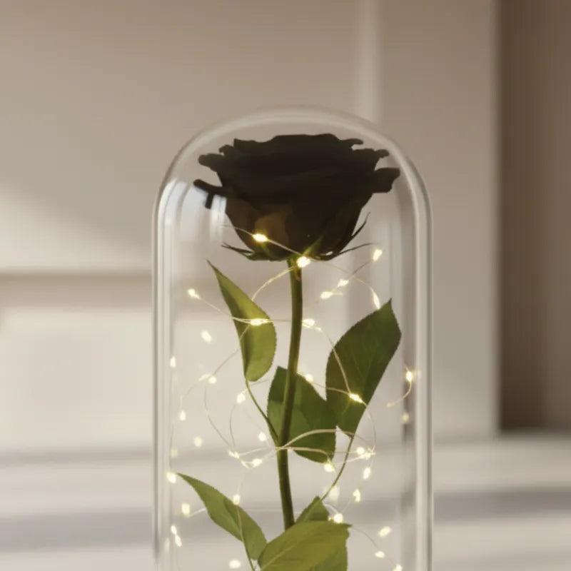 rose noire éternelle sous dôme cloche cristal noir décoration intérieure chic