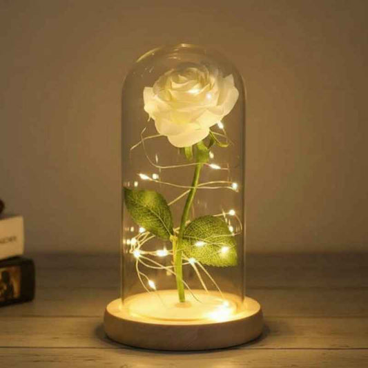 Rose éternelle blanche sous cloche verre éclairée LED - Déco romantique