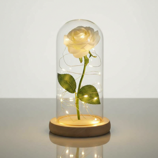 Rose Éternelle Blanche Sous Cloche Veilleuse de rêve