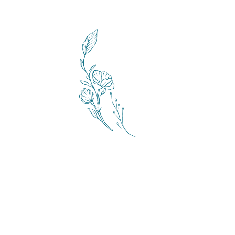 Boutique veilleuse et lampe