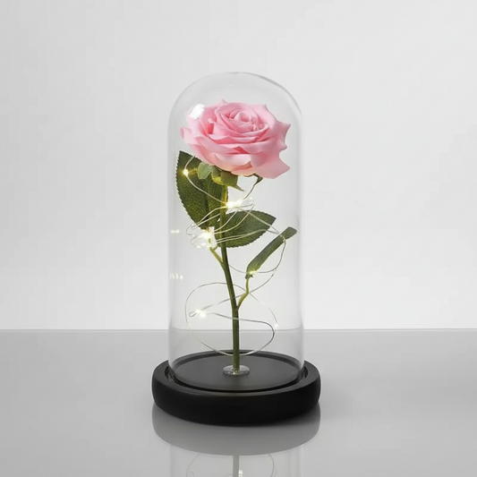 Fleur Eternelle Rose Veilleuse de rêve