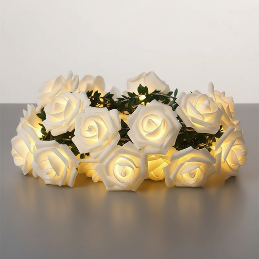 Guirlande Lumineuse Rose Blanche Veilleuse de rêve