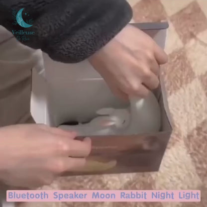 Rabbit Night Light | Sleeping on the Moon
