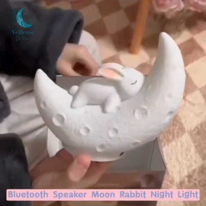 Veilleuse Musicale Bebe Lapin Sur Lune